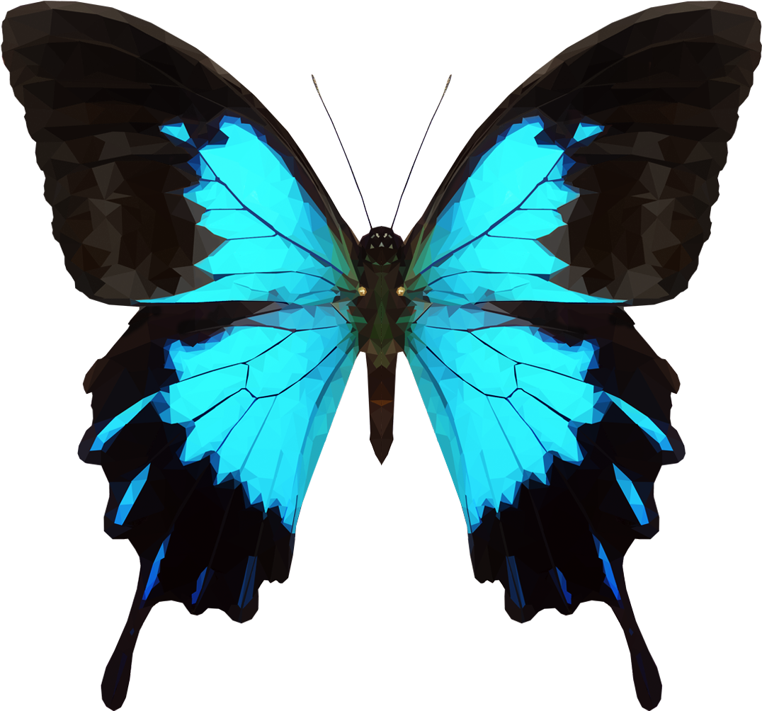 Blue butterfly