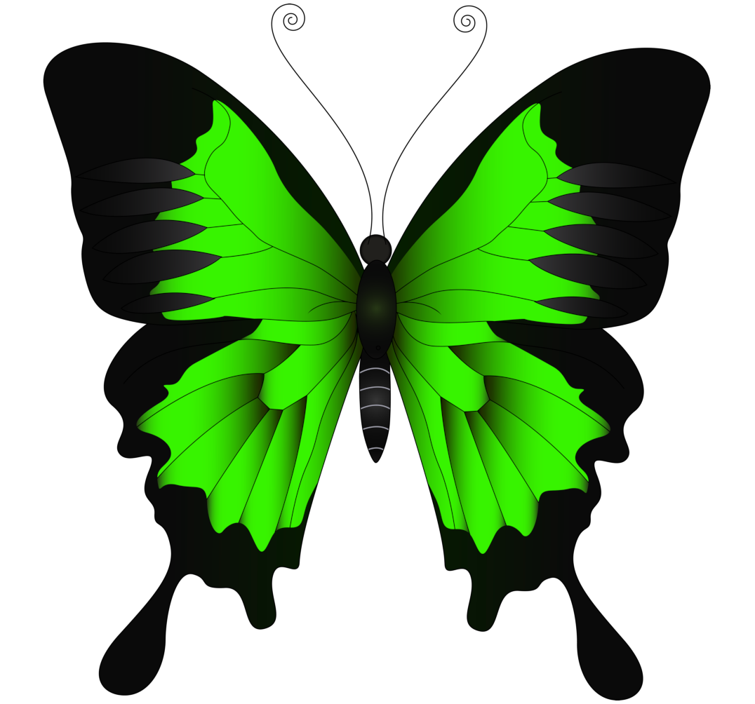Green butterfly