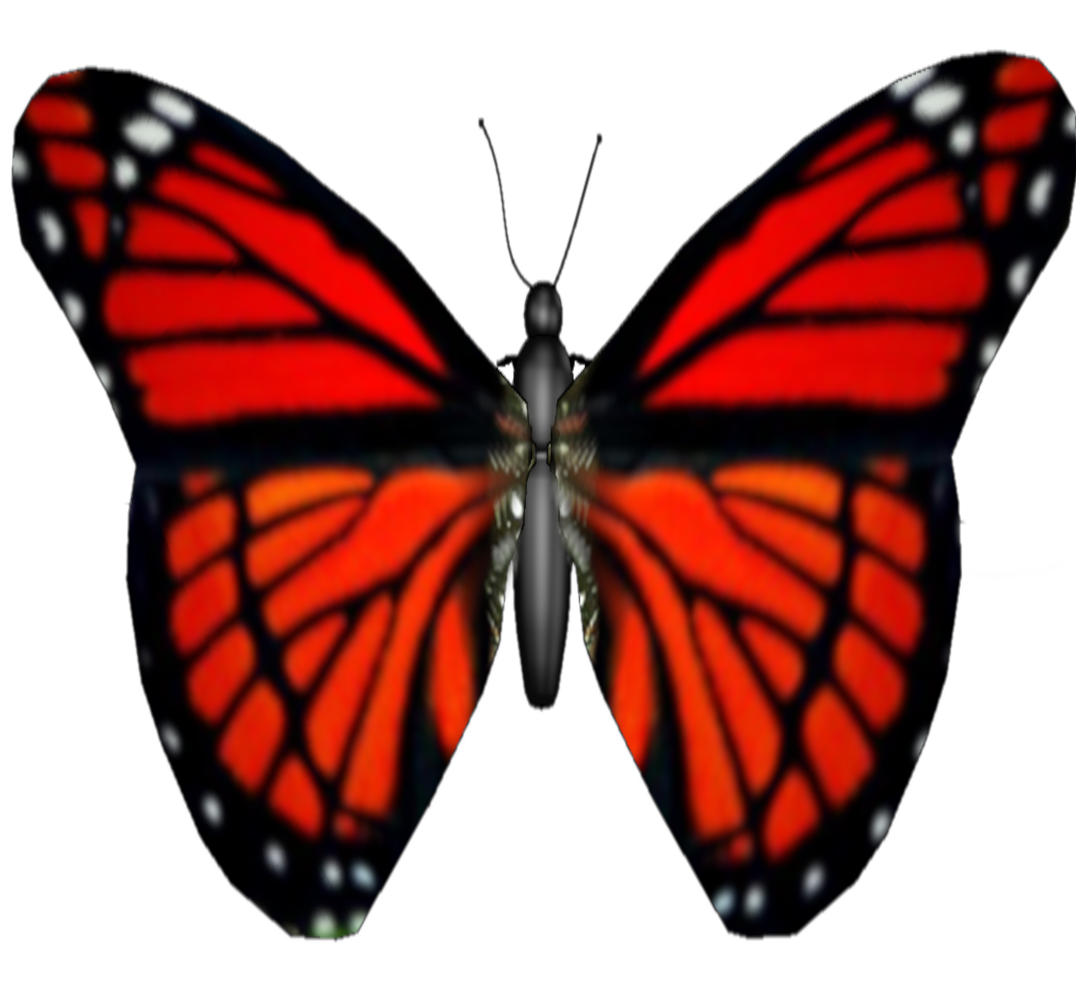 Red butterfly