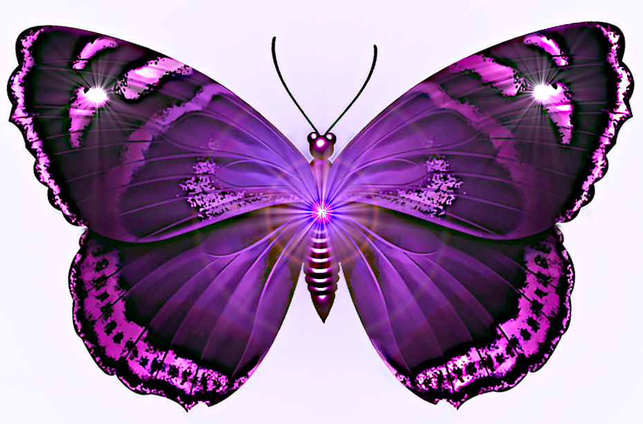 Violet butterfly
